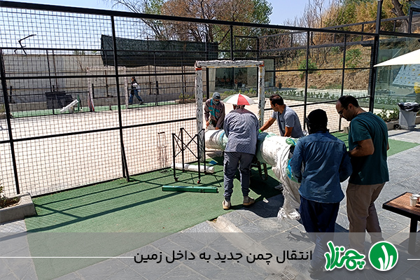 انتقال چمن جدید به داخل زمین پدل پارک تهران